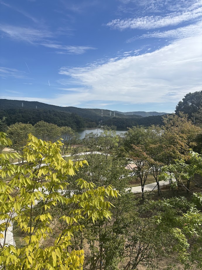 풍경